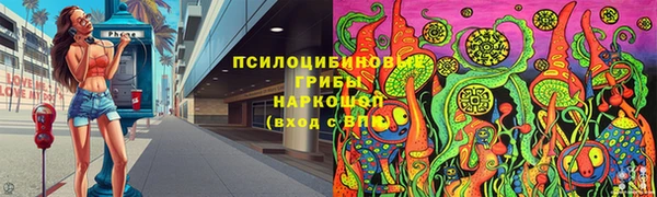 дживик Арсеньев