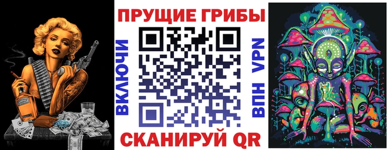 где продают   Рыбное  Псилоцибиновые грибы Magic Shrooms 